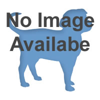 Leather Collars/Leads