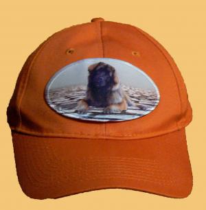 Leonberger Accessories